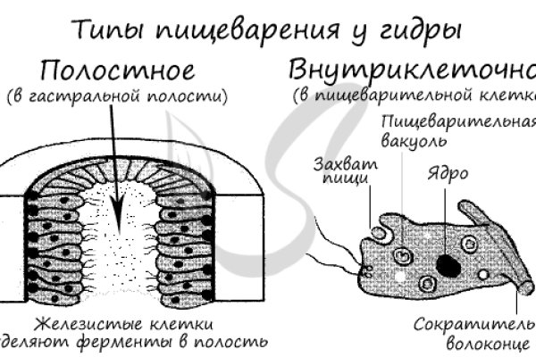 Кракен современный маркет